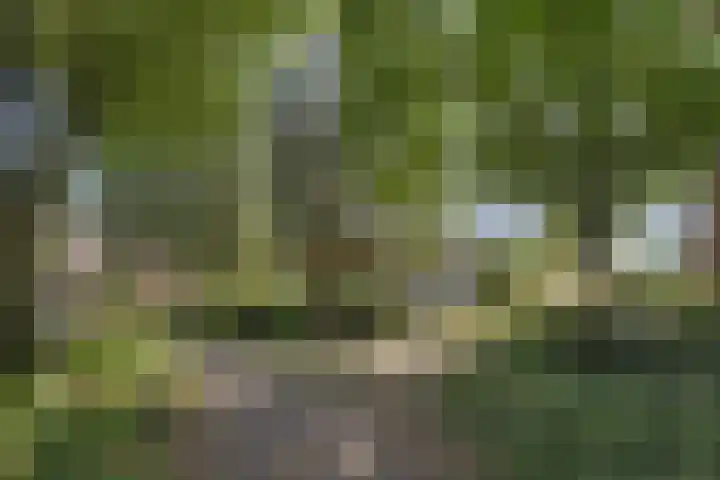 Wolfsheining 4 Rijsbergen thumbnail 46