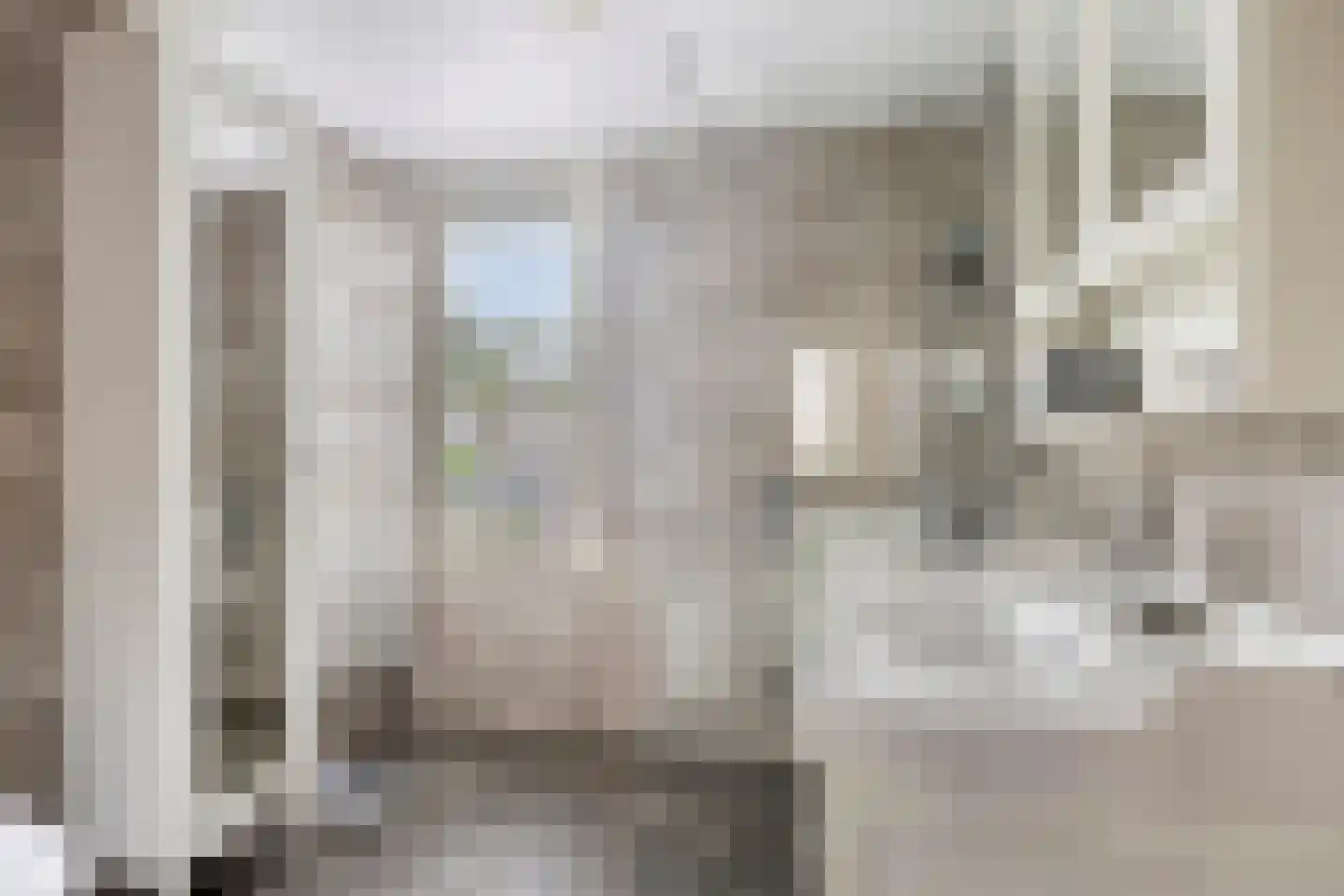 Wolfshoek 5 Emmeloord thumbnail 21