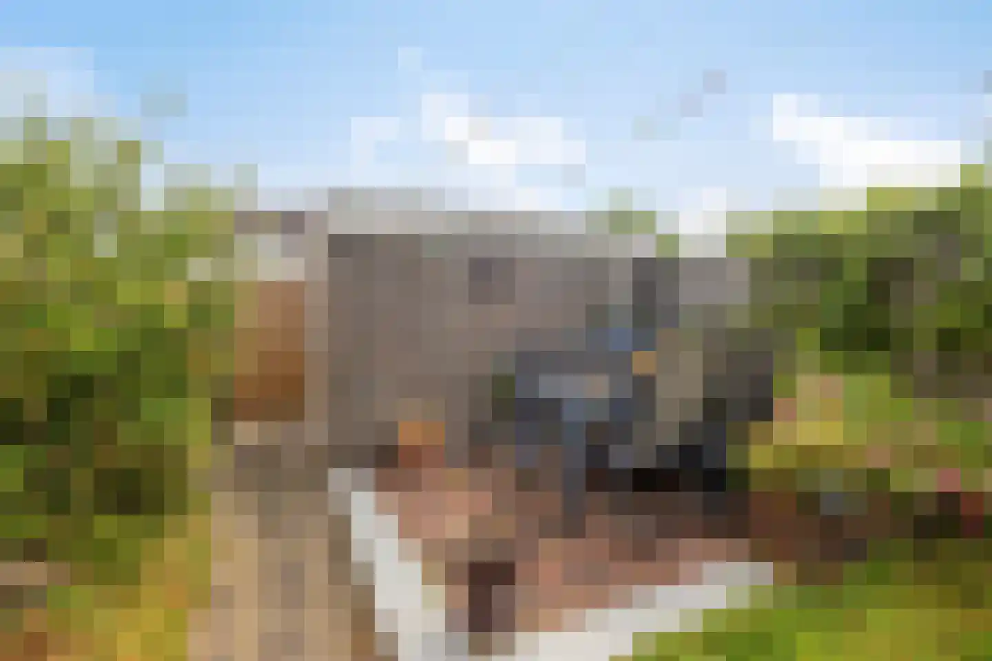 Wolfshoek 5 Emmeloord thumbnail 32