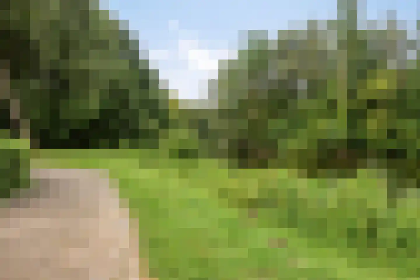 Wolfshoek 5 Emmeloord thumbnail 37