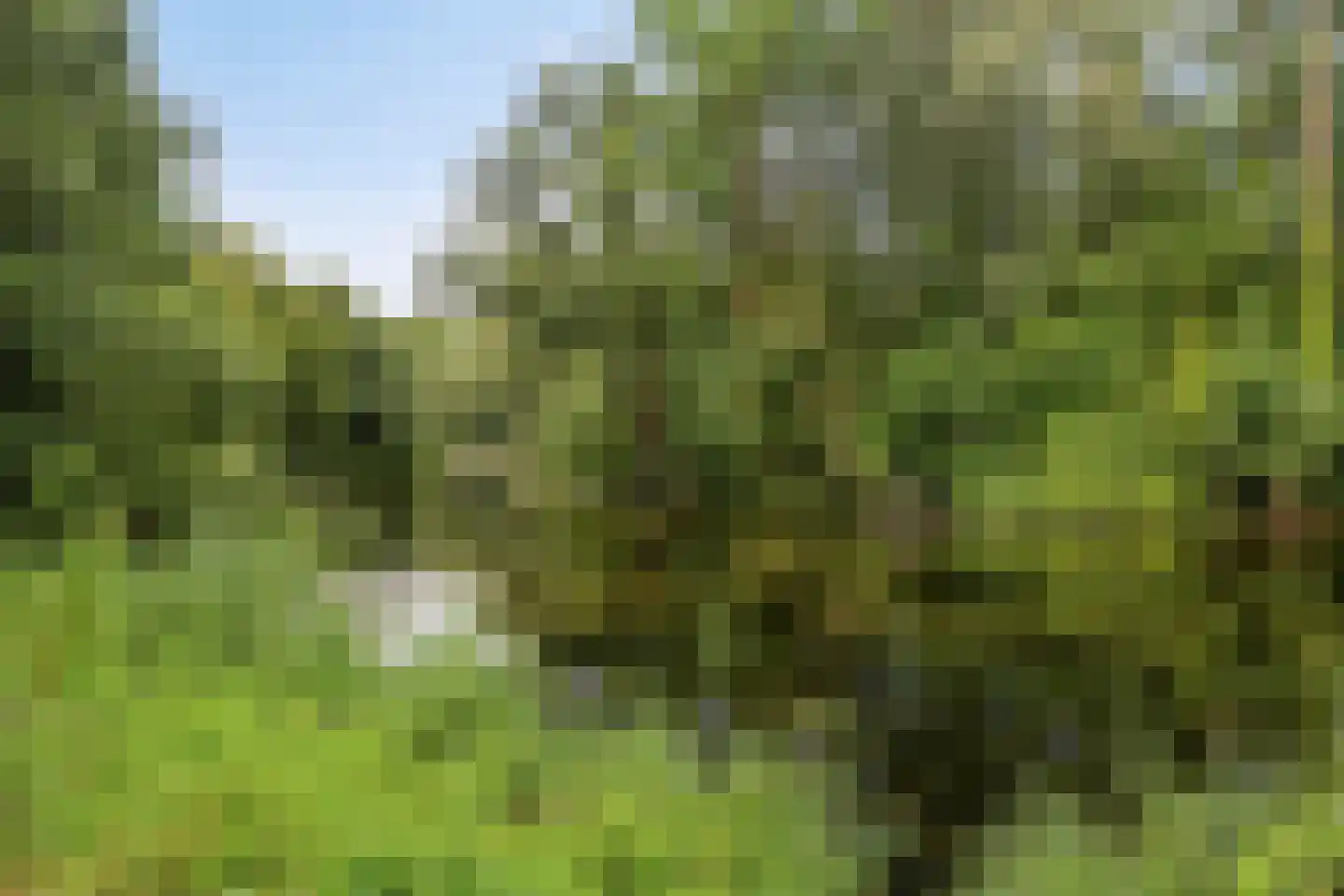 Wolfshoek 5 Emmeloord thumbnail 38