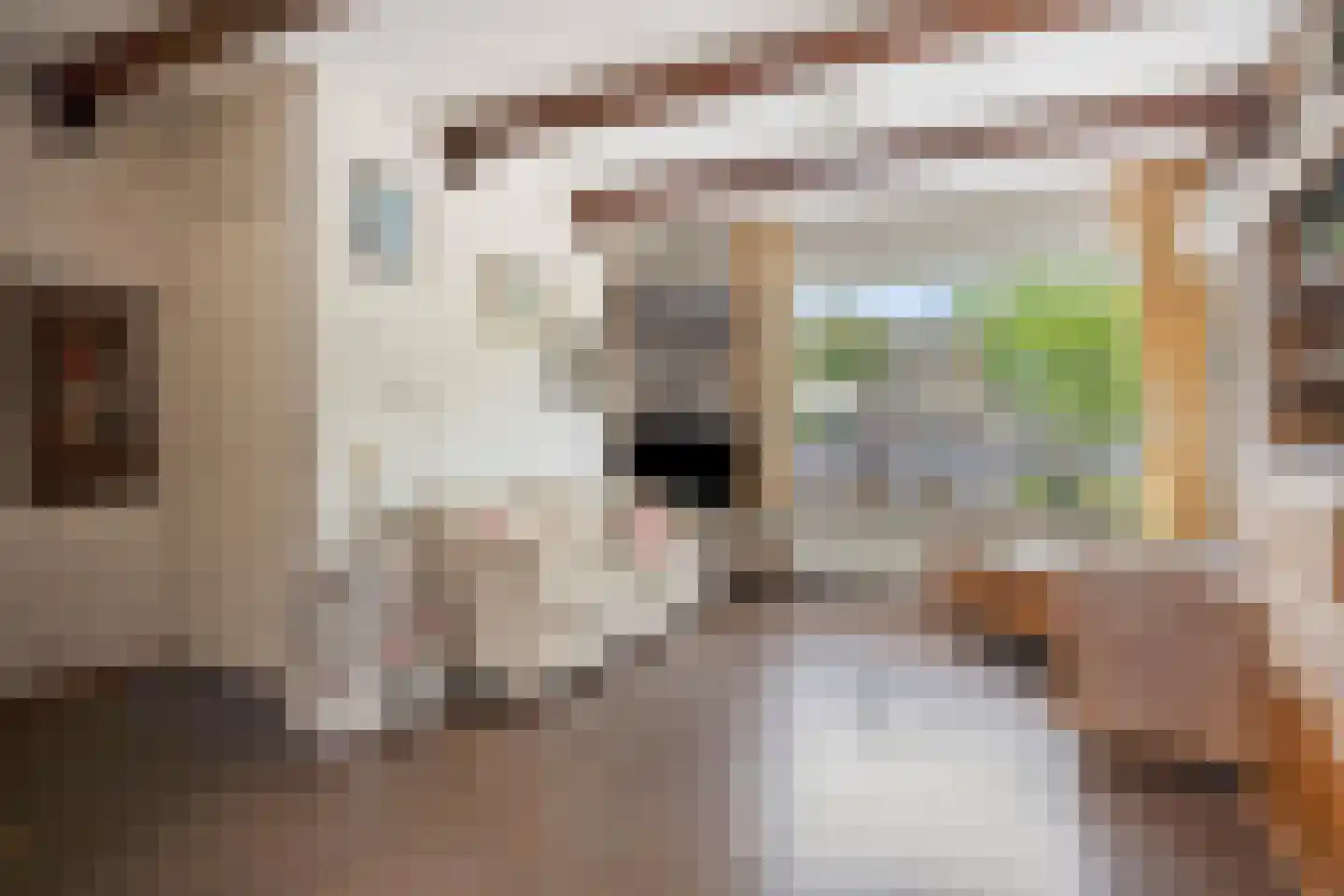 Wolfshoek 5 Emmeloord thumbnail 6