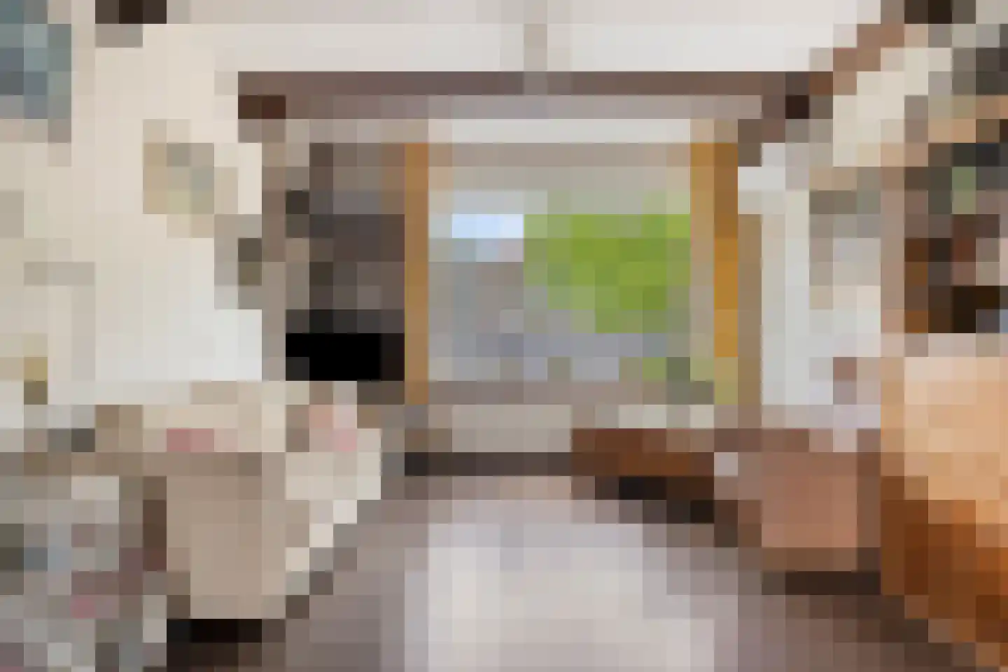 Wolfshoek 5 Emmeloord thumbnail 7