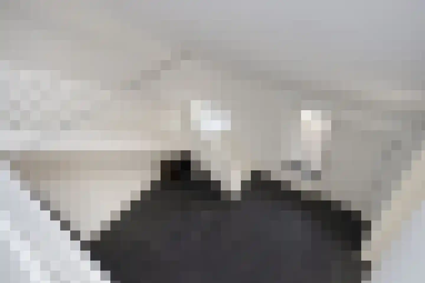 Wolfshoek 50 Elshout thumbnail 24