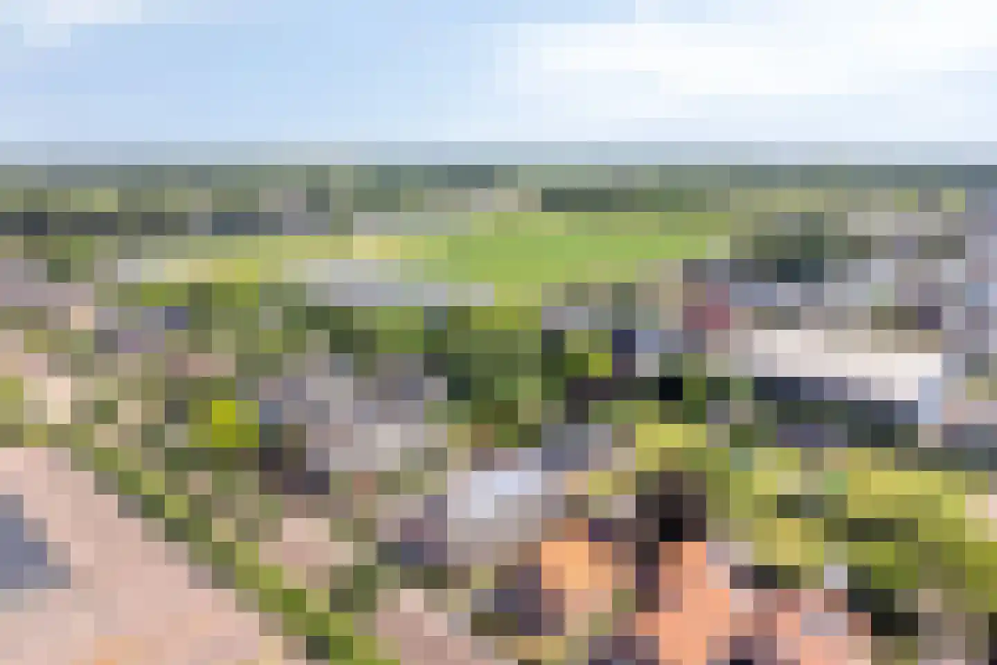 Wolfshoek 50 Elshout thumbnail 35