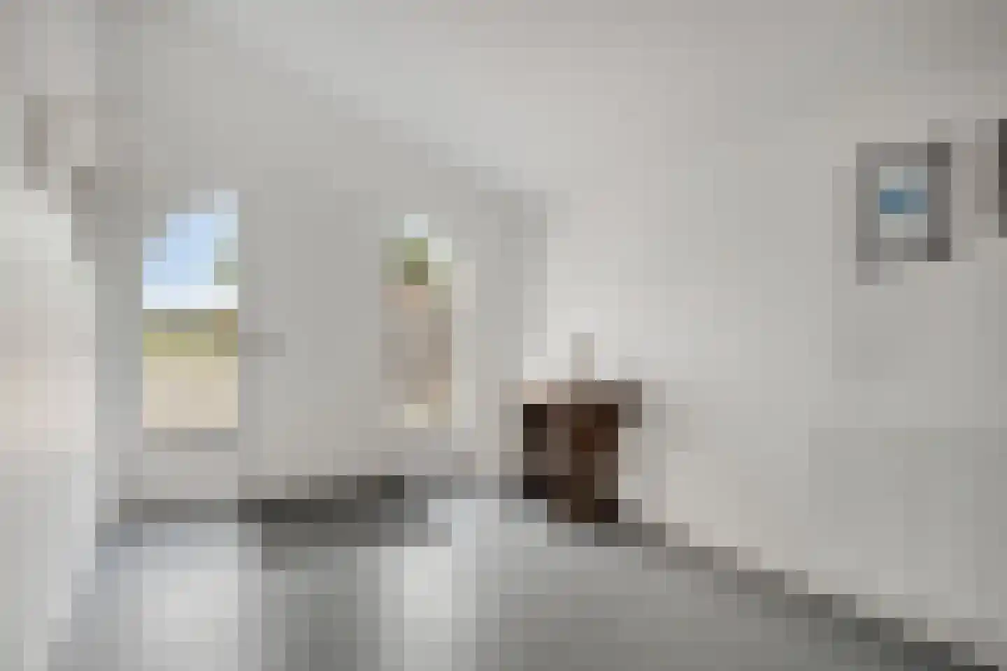 Wolfshoek 50 Elshout thumbnail 37