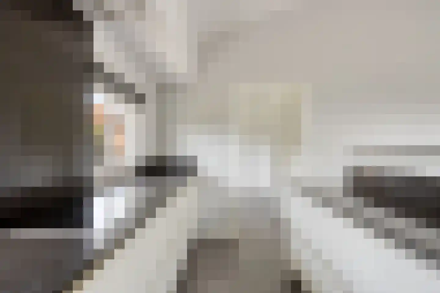 Wolfshoek 50 Elshout thumbnail 43