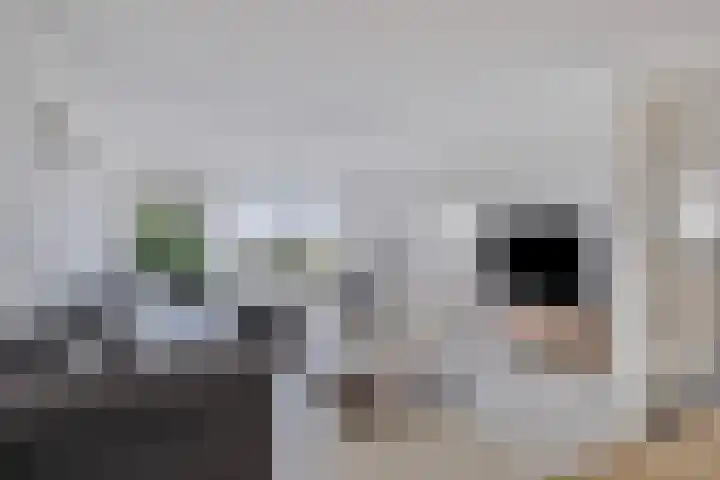 Wolfshoek 64 Elshout thumbnail 11