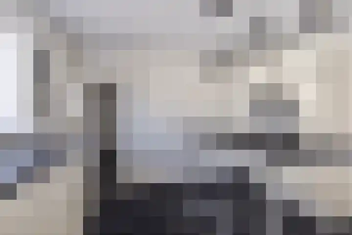 Wolfshoek 64 Elshout thumbnail 15