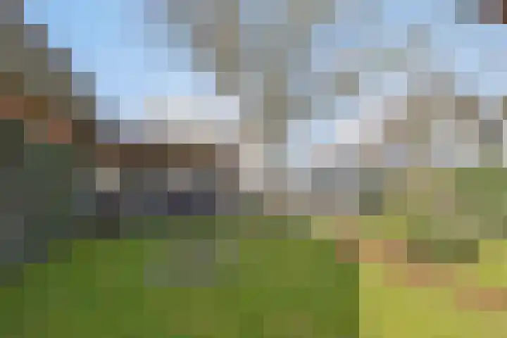 Wolfshoek 64 Elshout thumbnail 33