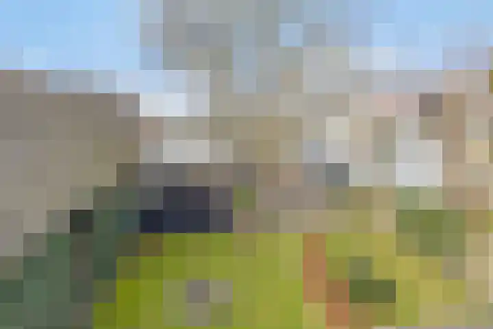 Wolfshoek 64 Elshout thumbnail 35