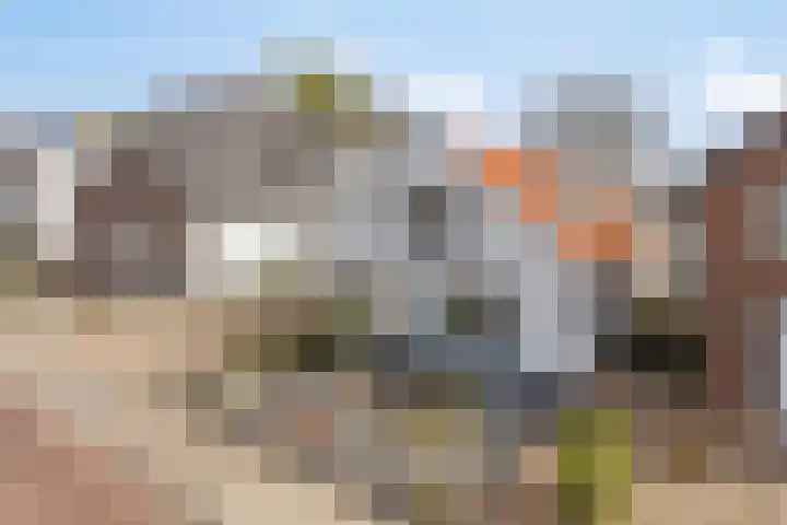 Wolfshoek 64 Elshout thumbnail 37