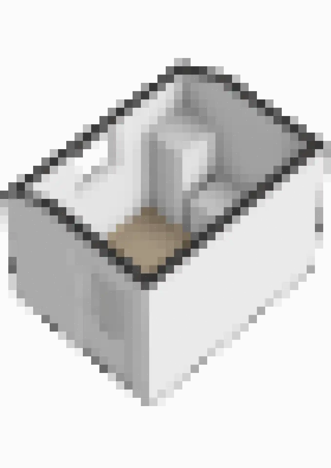 Wolfshoofdplein 17 Hoensbroek thumbnail 61