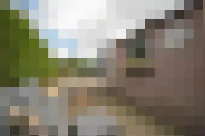 Wolfshoofdplein 28 Hoensbroek thumbnail 31