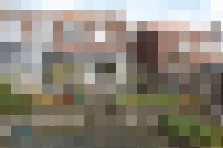 Wolfshoofdplein 49 Hoensbroek thumbnail 27
