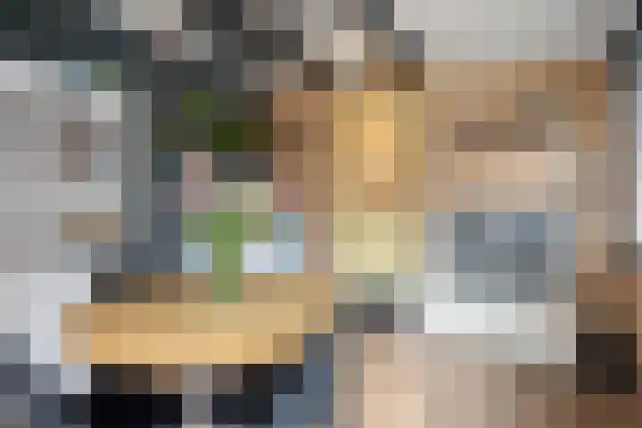 Wolfshoofdplein 97 Hoensbroek thumbnail 15