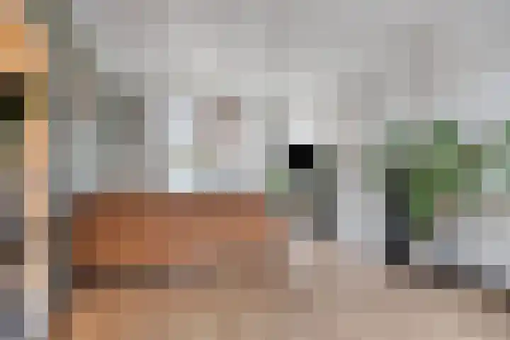 Wolfshoofdplein 97 Hoensbroek thumbnail 9