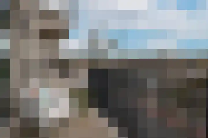 Wolfskamerweg 20 36 Vught thumbnail 9
