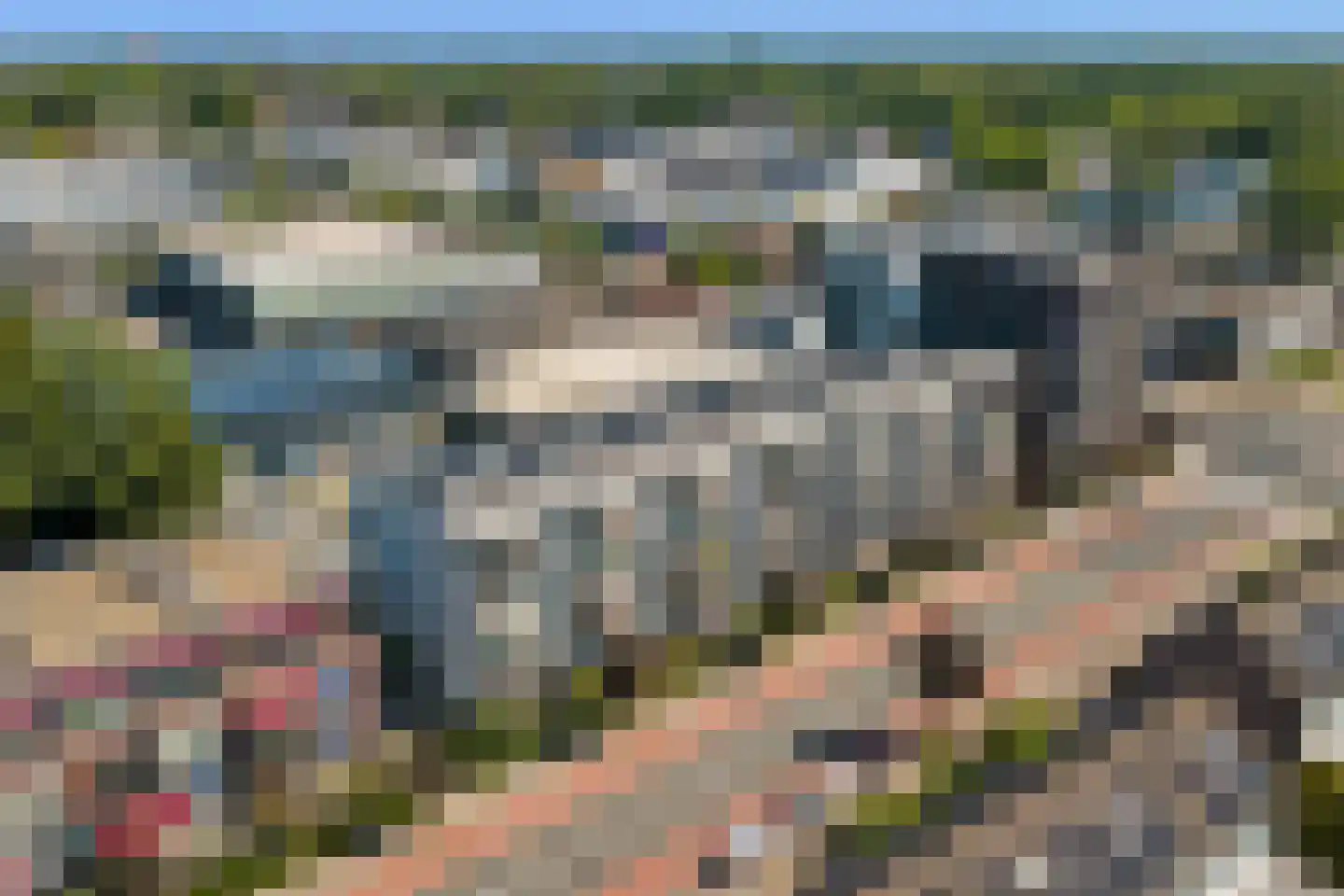 Wolfskamerweg 20 51 Vught thumbnail 28