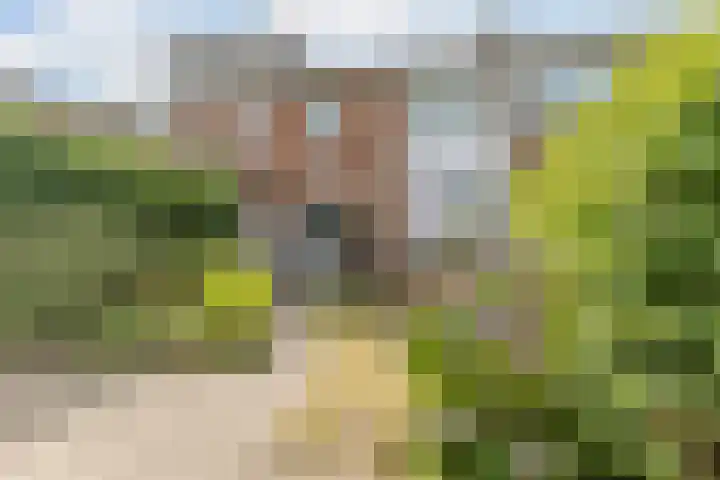 Wolfskamerweg 48 Vught thumbnail 30