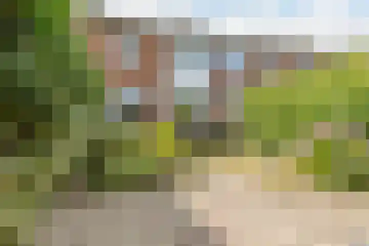 Wolfskamerweg 48 Vught thumbnail 31