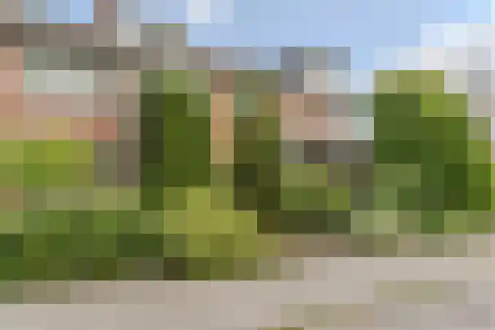 Wolfskamerweg 48 Vught thumbnail 34