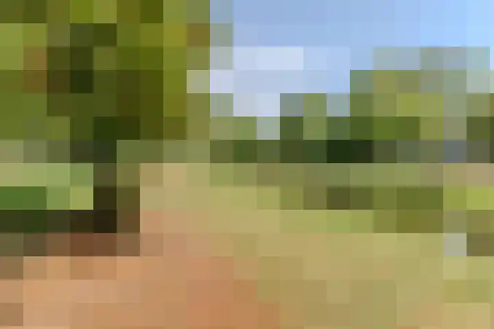 Wolfskamerweg 48 Vught thumbnail 36