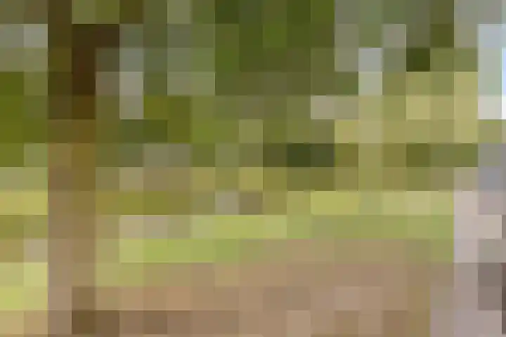 Wolfskamerweg 48 Vught thumbnail 38
