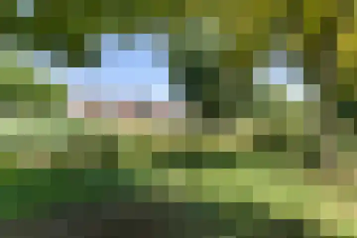 Wolfskamerweg 72 Vught thumbnail 7