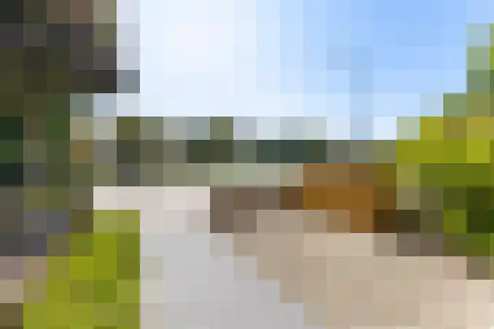 Wolfskamerweg 72 Vught thumbnail 8