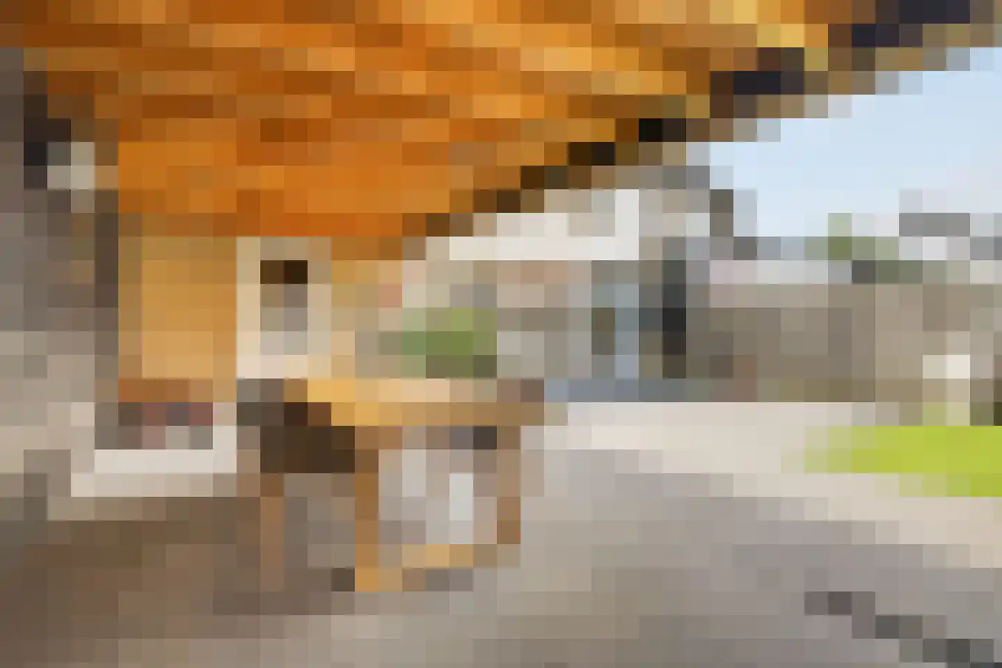 Wolfskamerweg 94 Vught thumbnail 32