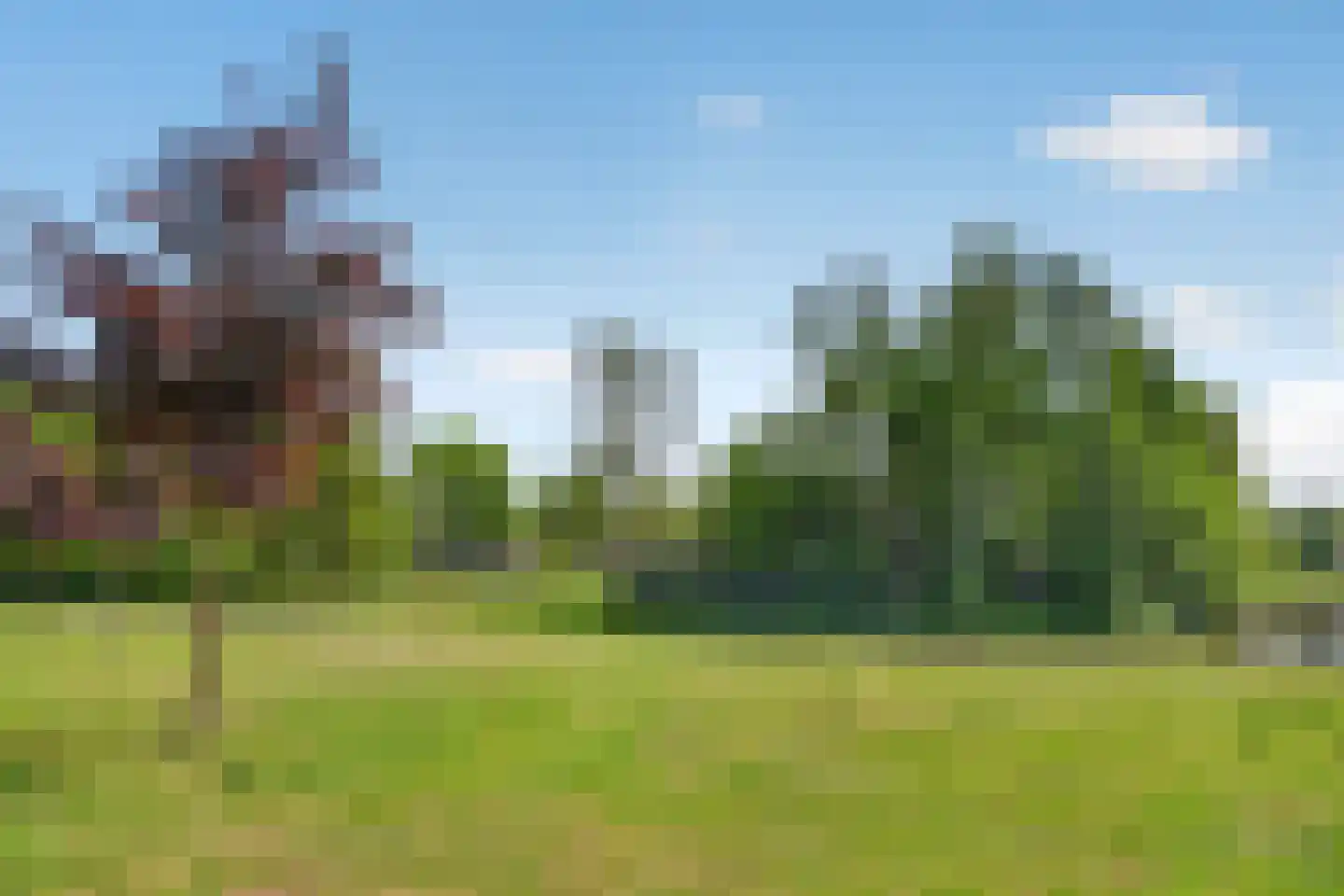 Wolfskamerweg 94 Vught thumbnail 66