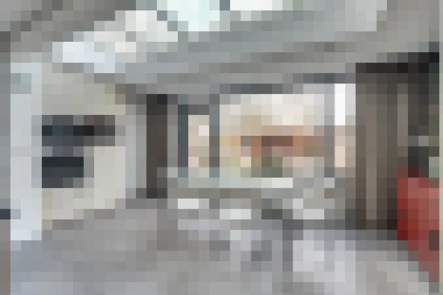 Wolfskers 1 Venray thumbnail 11