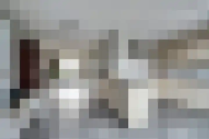 Wolfskers 1 Venray thumbnail 12