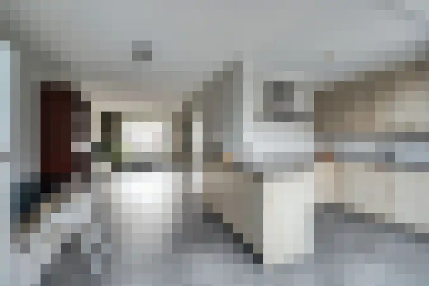 Wolfskers 1 Venray thumbnail 12