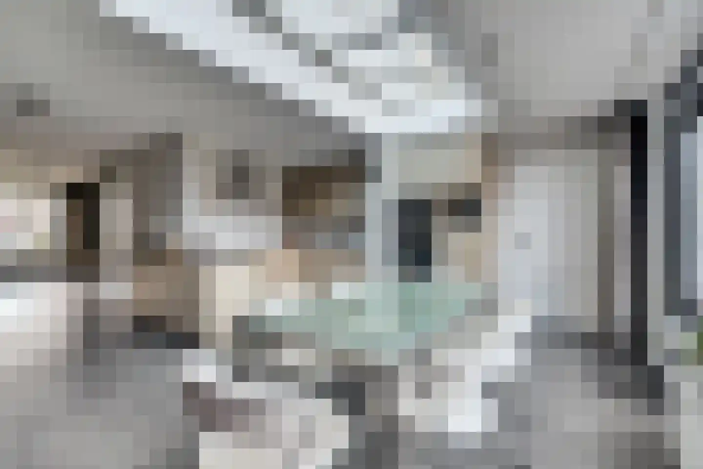 Wolfskers 1 Venray thumbnail 13
