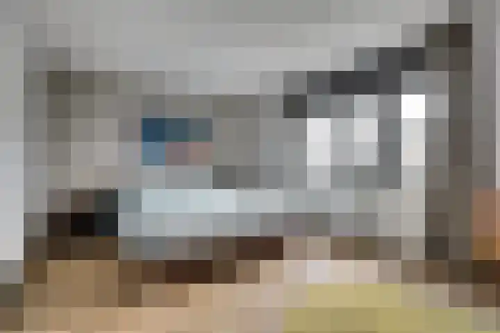Wolfskers 1 Venray thumbnail 17