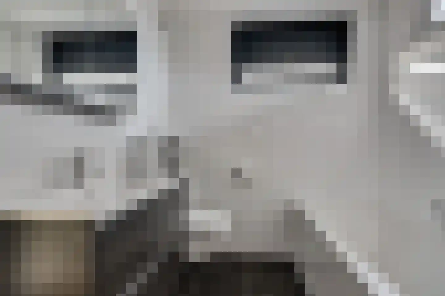 Wolfskers 1 Venray thumbnail 20