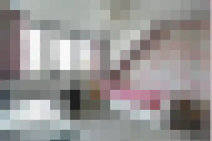 Wolfskers 1 Venray thumbnail 23