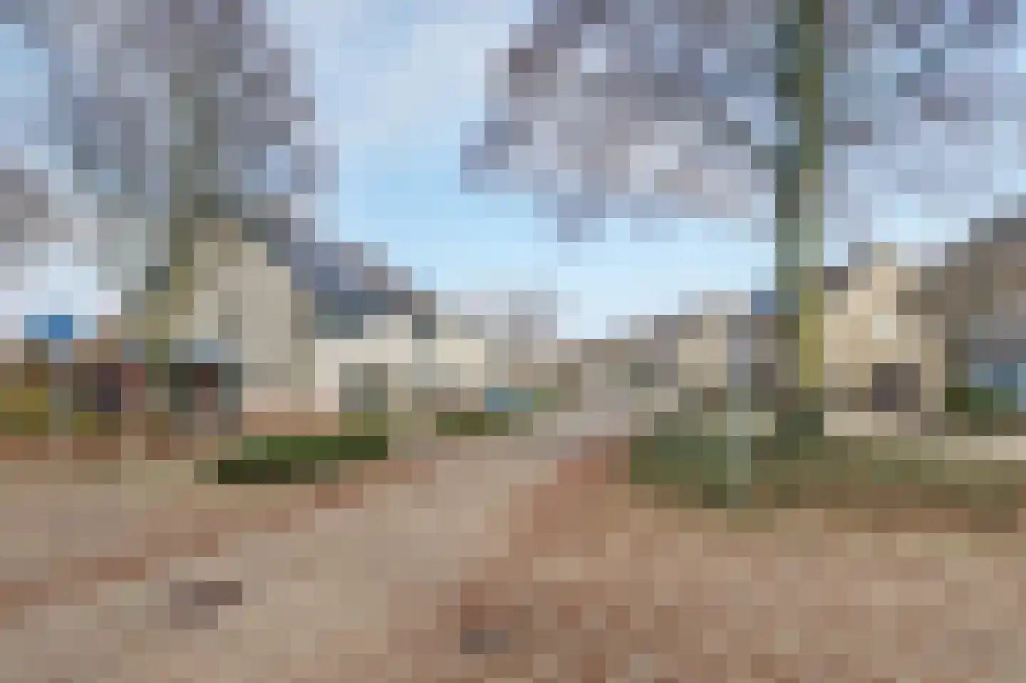 Wolfskers 1 Venray thumbnail 30
