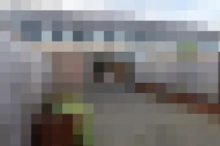 Wolfskers 37 Venray thumbnail 13