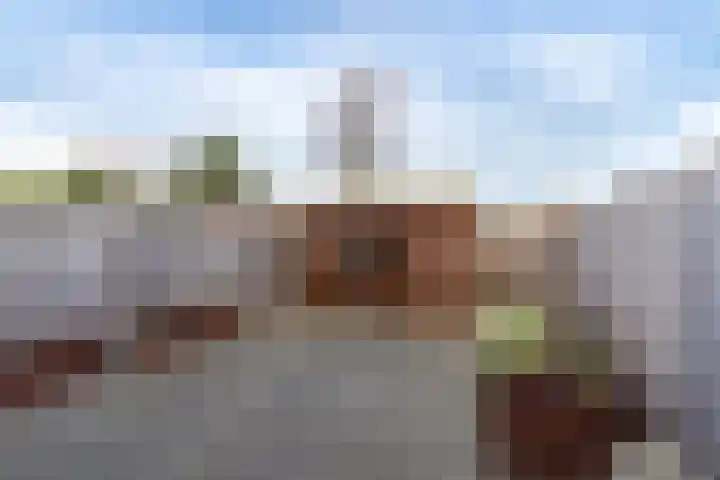 Wolfskers 37 Venray thumbnail 15