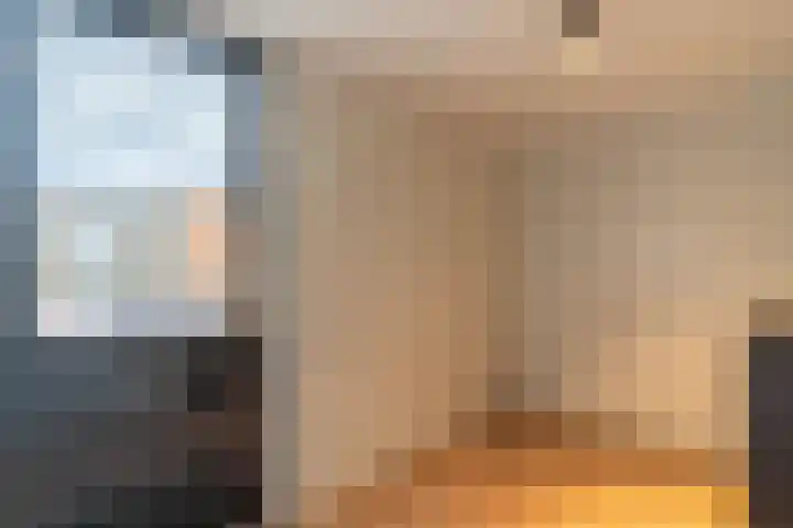 Wolfskers 37 Venray thumbnail 32