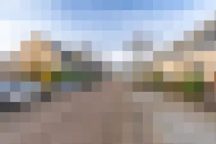 Wolfskers 37 Venray thumbnail 8