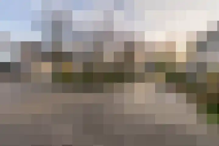 Wolfskers 37 Venray thumbnail 9