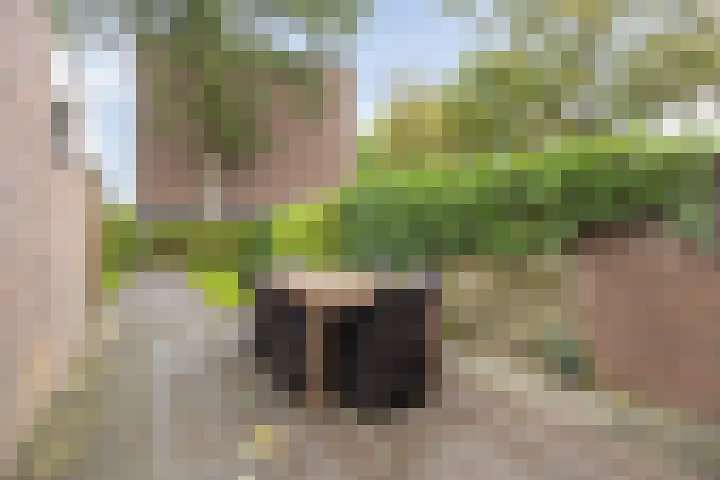 Wolfsklauw 145 Emmen thumbnail 28