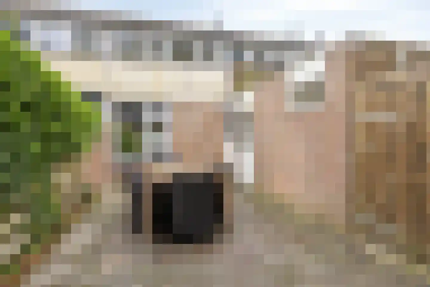 Wolfsklauw 145 Emmen thumbnail 29