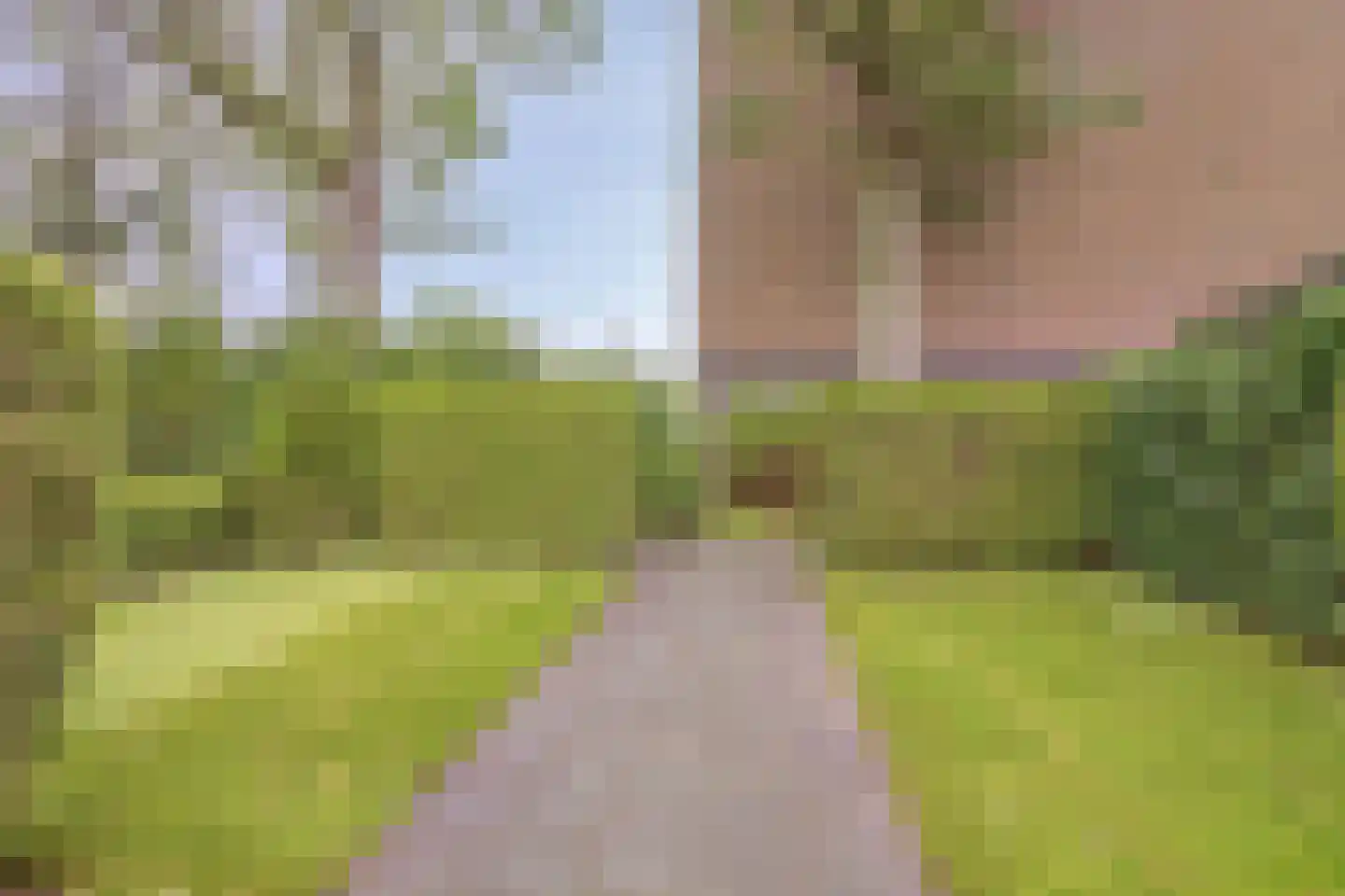 Wolfsklauw 145 Emmen thumbnail 30