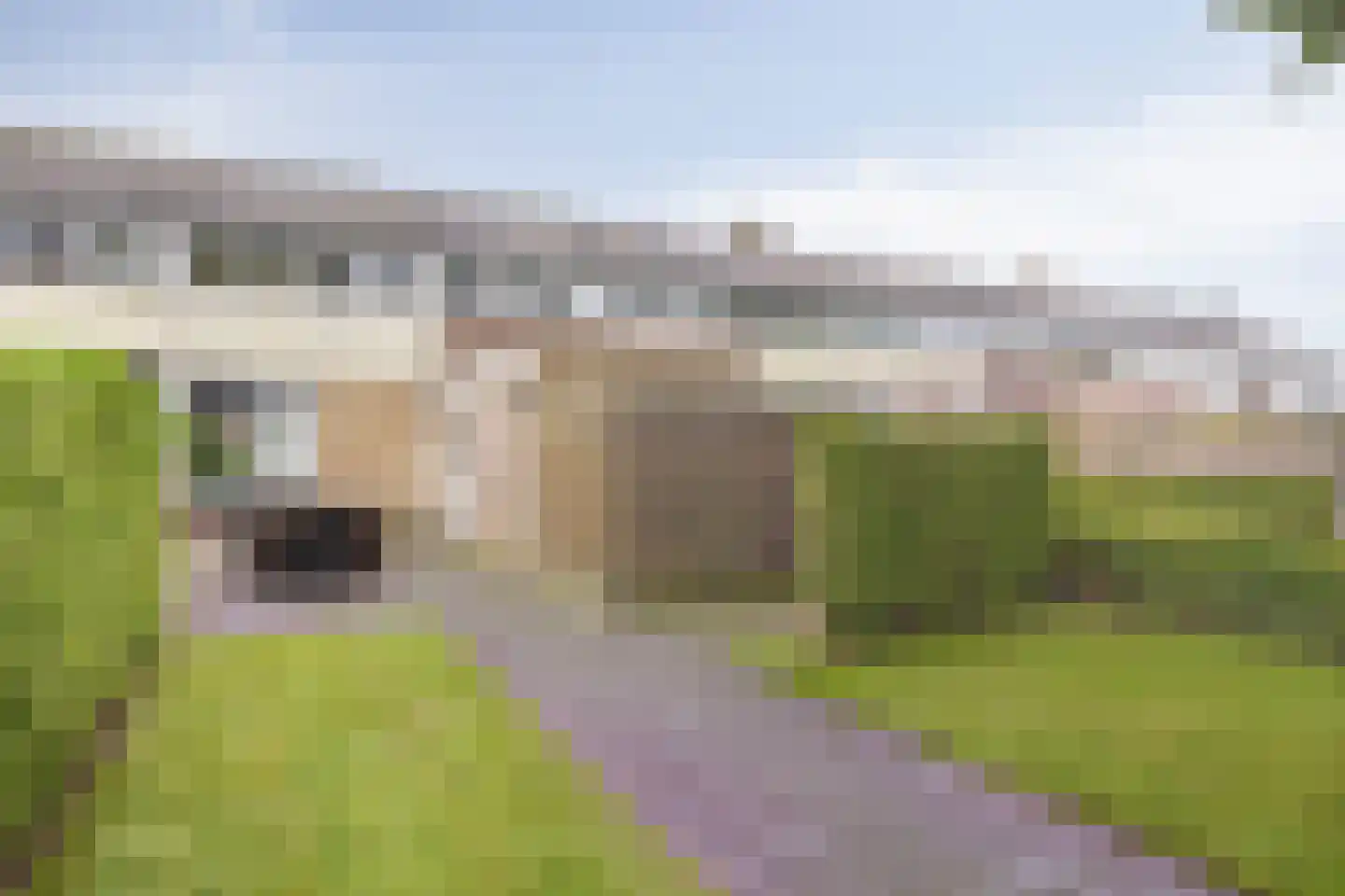 Wolfsklauw 145 Emmen thumbnail 32
