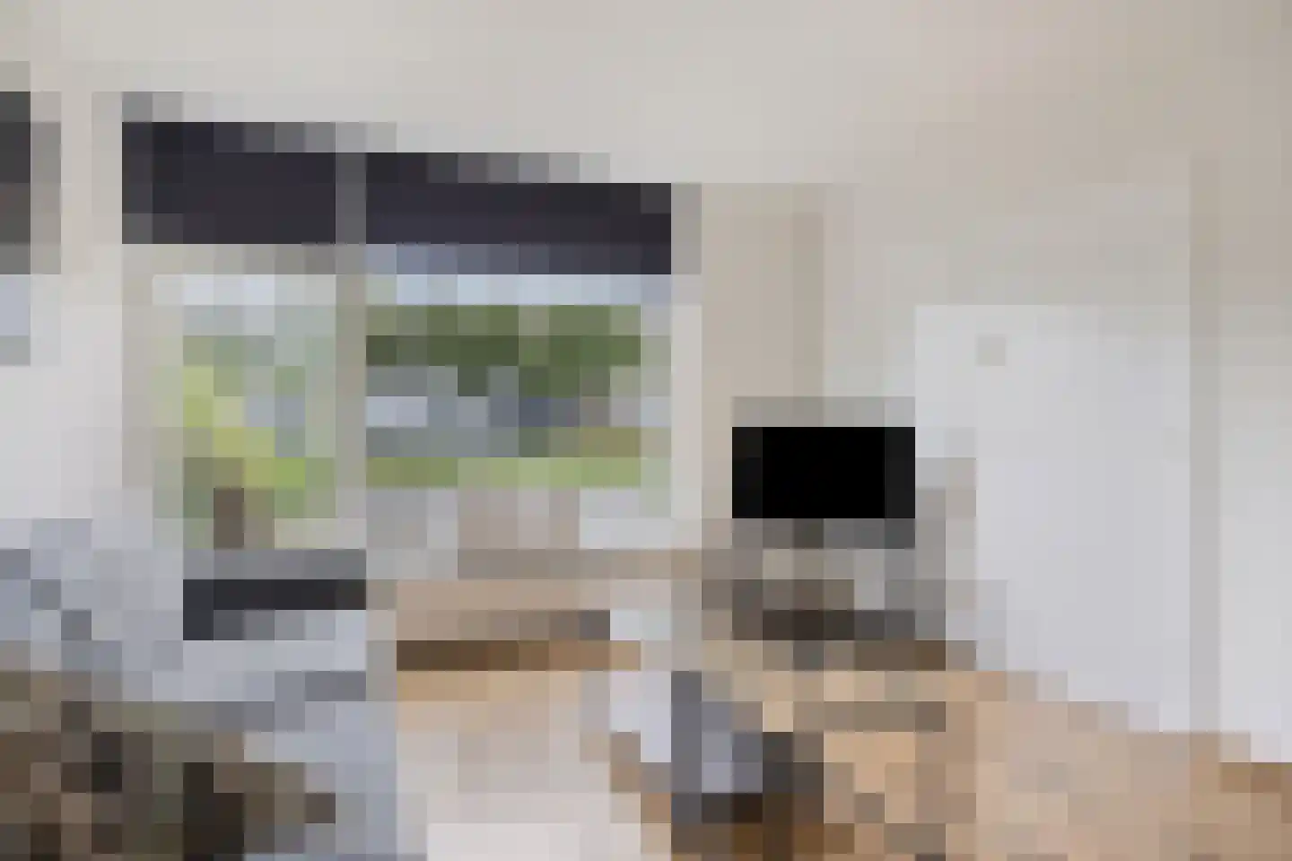 Wolfsklauw 145 Emmen thumbnail 7